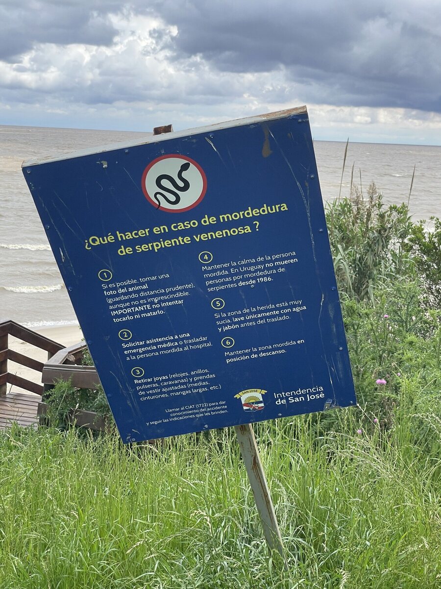 Amtliches Hinweisschild der Intendencia de San José: Verhalten bei einem Schlangenbiss